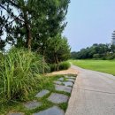 gs25 공도사랑점 | 안산 대부도 골프장 더헤븐CC 후기｜2026년 7월 야간라운딩 그린피와 코스 난이도