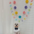 머리깍개 이미지