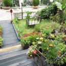 둔산중로-41 이미지