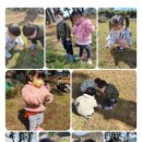 공립들꽃어린이집 이미지