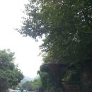 유치자연휴양림 관리사무소 이미지