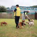 멍스퀘어 이미지