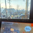 교동족발 | 속초 족발 맛집 족발야시장&amp;무청감자탕 속초교동점 촉촉한 족발에 소주한잔! 현지인 단골 후기