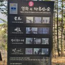 정관산업도로 곰내터널입구-철마 웅천(웅천리 278) | 기장 아홉산숲 아내랑 대나무 힐링 데이트