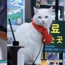 매표소 이미지