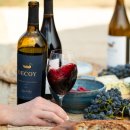 디코이 카카오 검색결과