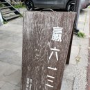 영육일삼