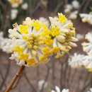 연부농장 이미지