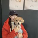 알뜨르식당 이미지