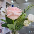 그림책 꽃이 피었습니다 이미지