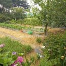 화성시청앞탑공인중개사사무소 이미지