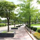 건아렌터카 이미지