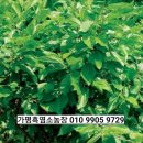 상심상회