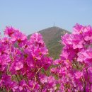 서울대입구역 3번출구 옆 이미지