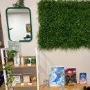 파라 에스테틱 이미지