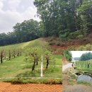 지수목장 이미지