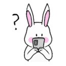 제주회포장바다회스시망고 이미지
