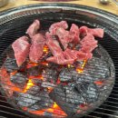 은행나무 갈매기 이미지