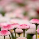 수신주유소 이미지