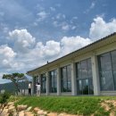 푸른푸릇 이미지