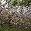 국수리쉼터 이미지