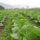 해수농장 이미지