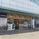 나무안경 | 망우역 안경 봄맞이 선글라스 쇼핑 나무안경