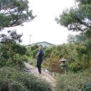 늘푸름농장 Daum카페