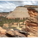 자이언(ZION) 이미지