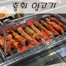 홍화 양고기