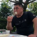 도토리상회
