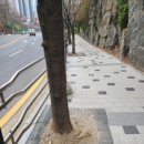 광덕산로 이미지