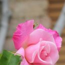 동화구연 놀이지도 이미지