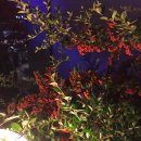 그림나래 이미지