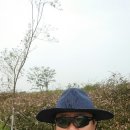 일광역 삼거리 이미지