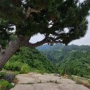 옥천풍경