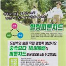 숲앤숲