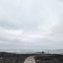 하모리-12 | 제주도 대정 인생 포토샷, 수려한 바다 풍경 이색 명소, "제주 바다기찻길"