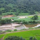 포레스트캐빈앤캠프 이미지