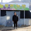 양평채소