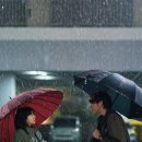 은수