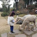 오휘카운셀러배강문 | 제주여행 가을제주 제주가볼볼만한곳