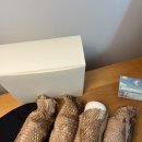 아녹 | 비건샴푸 브랜드 아녹anok 탈모샴푸 후기