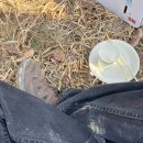 산일마을회관 이미지