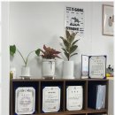 이음 행정사 사무소 이미지