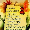 솔내음 이미지