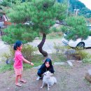 칠곡 흙집세상 이미지