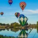 핑크라인 이미지