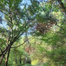 시흥길 늠내길 3코스(옛길) 이미지