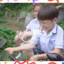 원주삼육초등학교 이미지